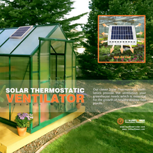 Ventilador de techo solar 8W15W para ventilación automática de invernadero